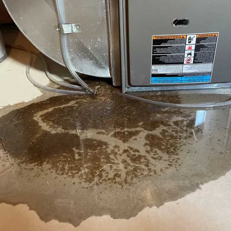 Pipe Burst and Leak Restoration in Creede, CO