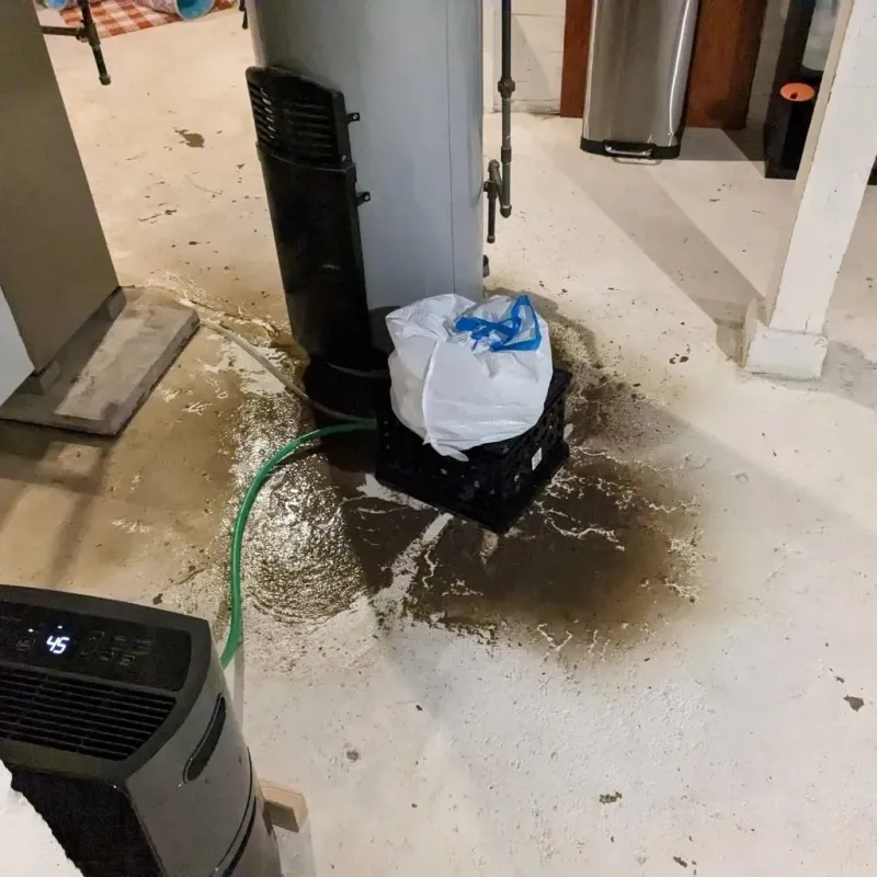 Sewage Backup Cleanup Service in Creede, CO
